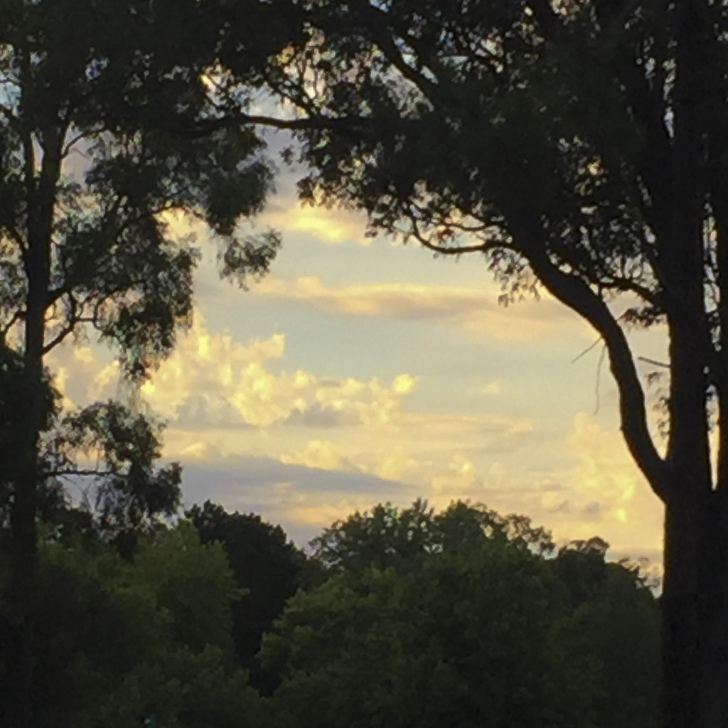 dwellingup sunset