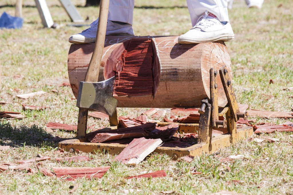 log chop with a shiny axe