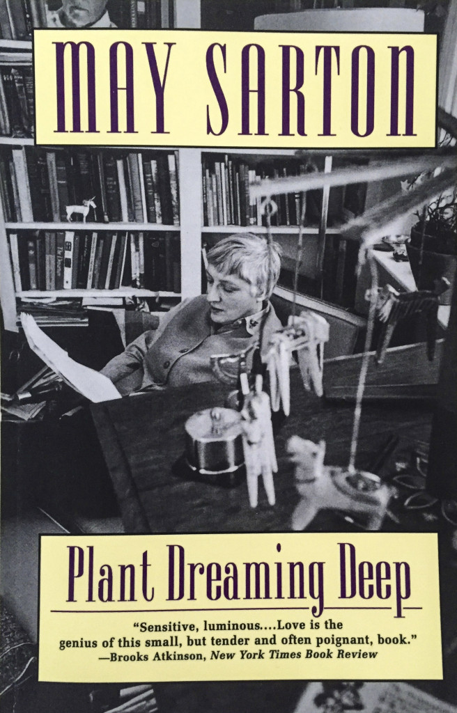 plant dreaming deep