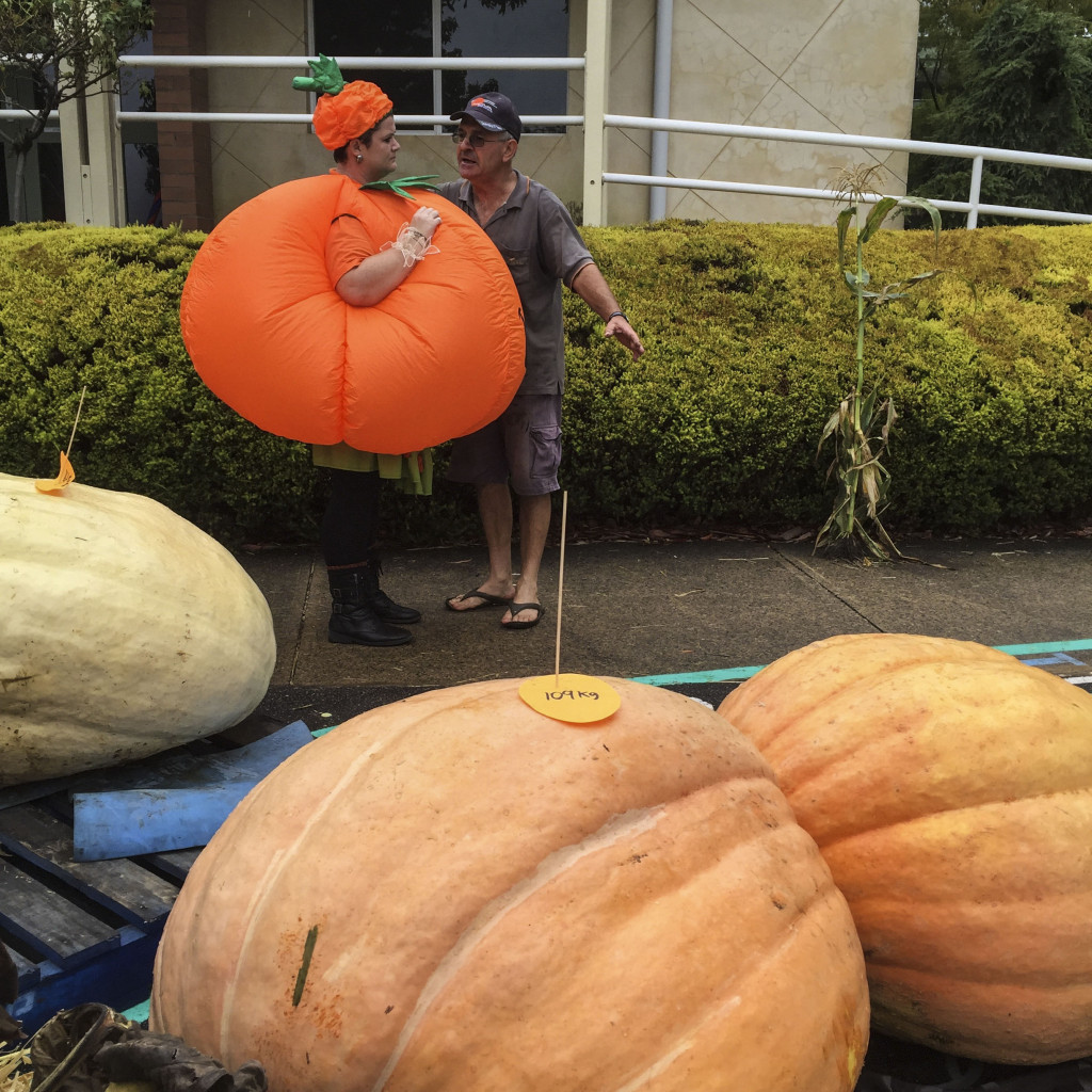 explaining to the pumpkin?