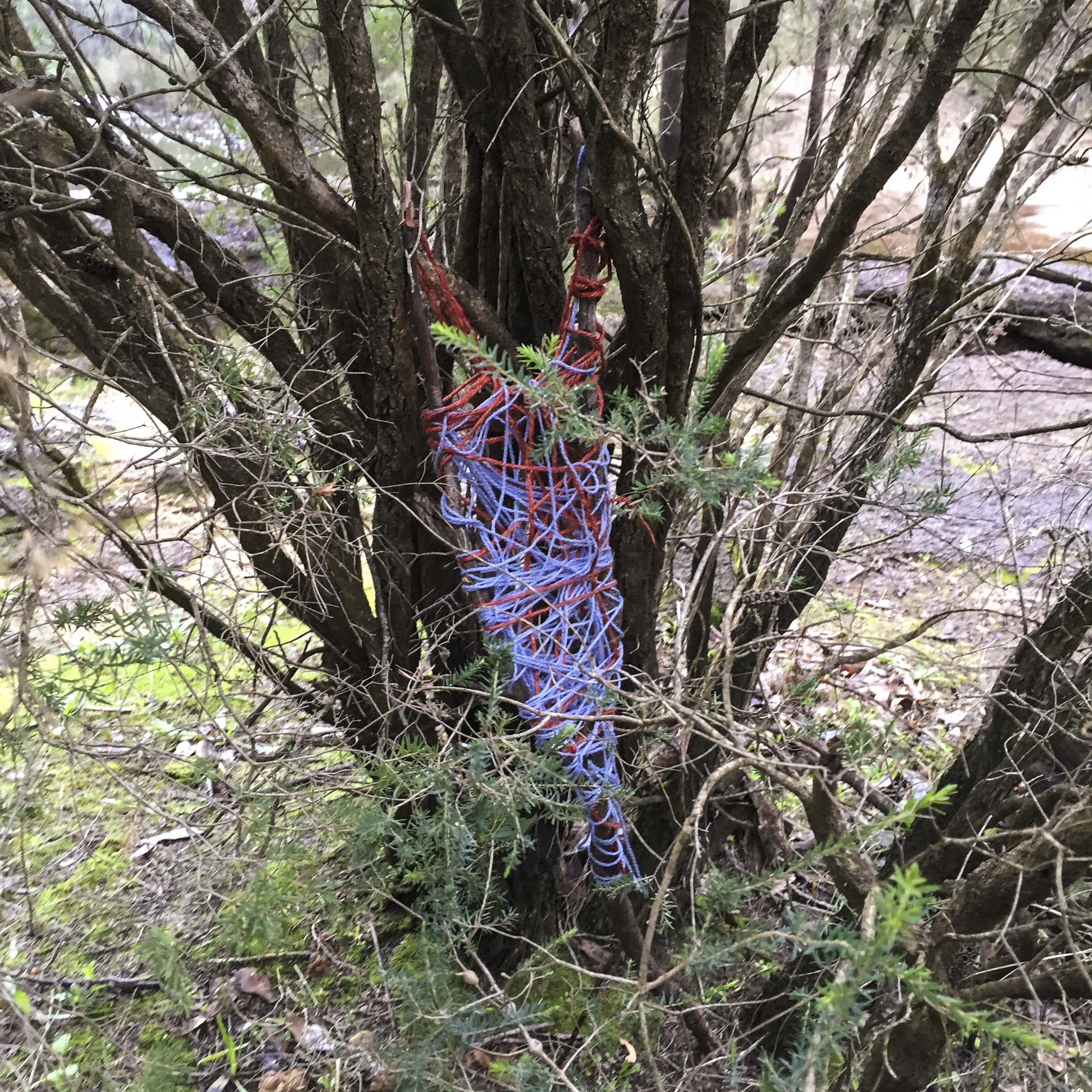yarn bombing by the river